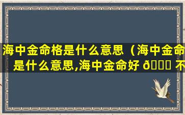 海中金命格是什么意思（海中金命是什么意思,海中金命好 🐞 不好）